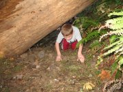 10.21.06 Wauna Viewpoint 084